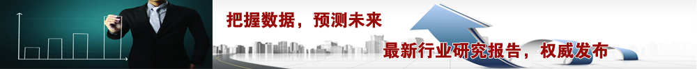 中国轻工业信息中心行业研究报告